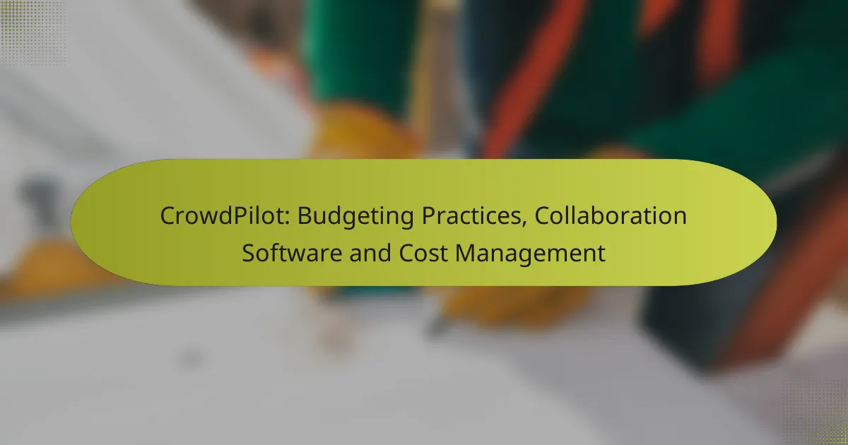 CrowdPilot: Budgeting Practices, Collaboration Software and Cost Management