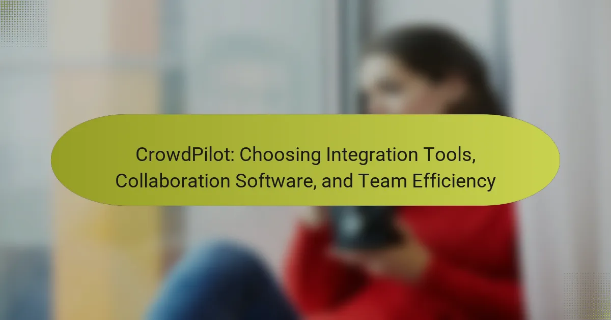 CrowdPilot: Choosing Integration Tools, Collaboration Software, and Team Efficiency