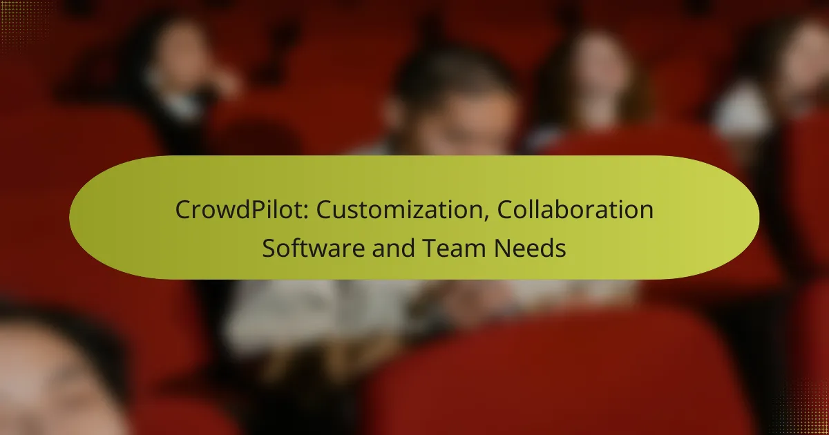 CrowdPilot: Customization, Collaboration Software and Team Needs