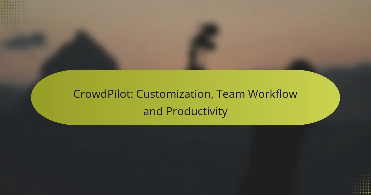 CrowdPilot: Customization, Team Workflow and Productivity