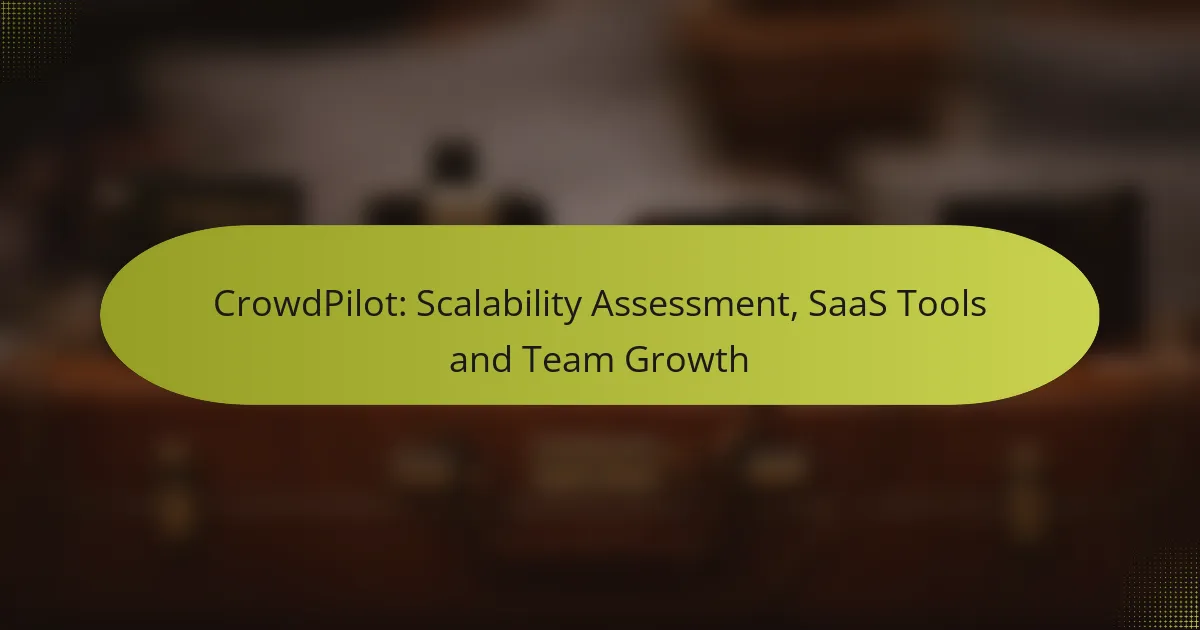 CrowdPilot: Scalability Assessment, SaaS Tools and Team Growth