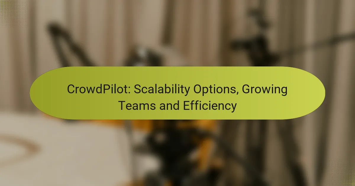 CrowdPilot: Scalability Options, Growing Teams and Efficiency