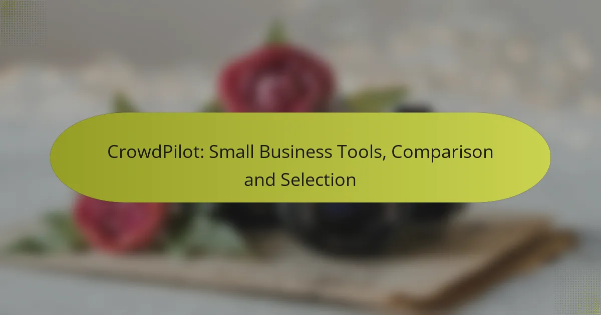 CrowdPilot: Small Business Tools, Comparison and Selection