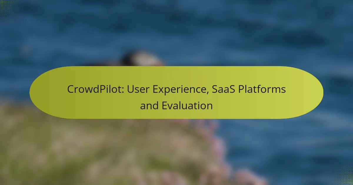 CrowdPilot: User Experience, SaaS Platforms and Evaluation