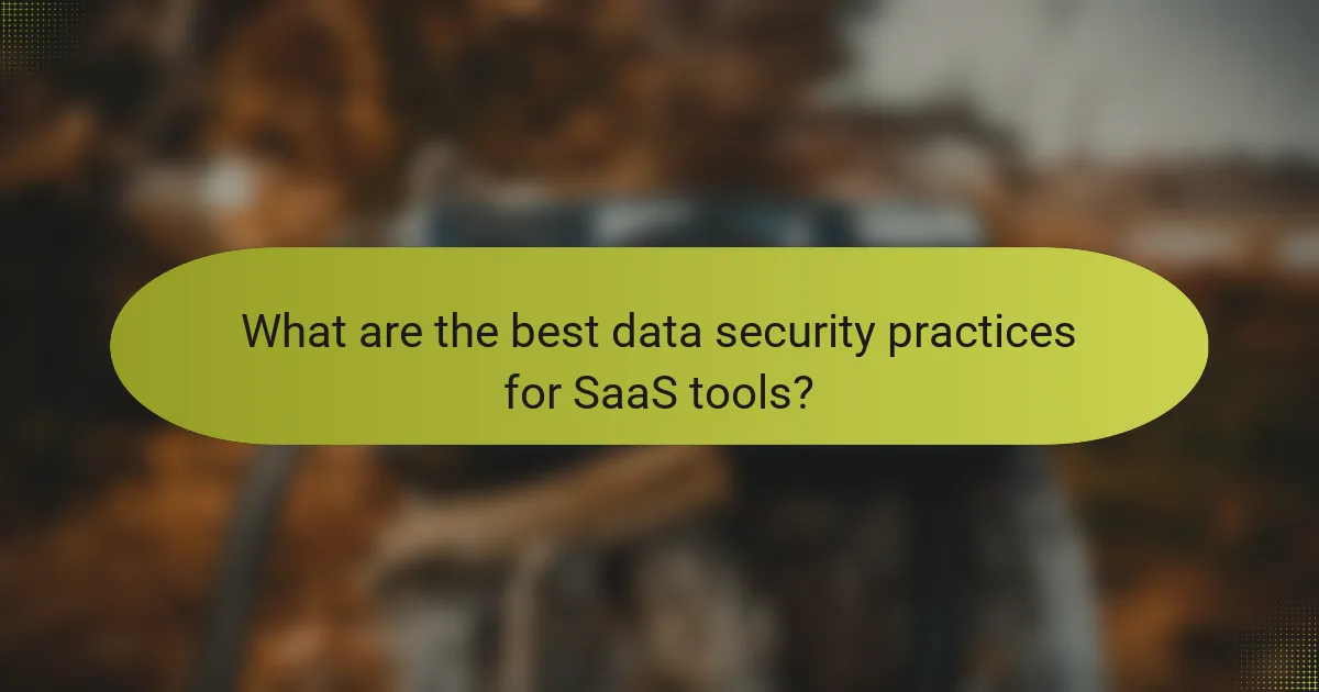 What are the best data security practices for SaaS tools?